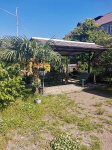 Giardino di FRESH Hotel Kobuleti