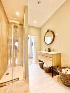 ein Bad mit einer Dusche, einem Waschbecken und einem Spiegel in der Unterkunft Appartement complet chic et cosy in Sains-Richaumont