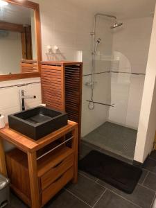 a bathroom with a sink and a shower at La grande garde in Les Avants