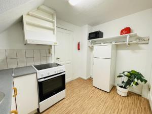 Kuchyň nebo kuchyňský kout v ubytování aday - Randers Elegant and Trendy Apartment