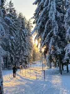 una persona caminando por un camino en la nieve en Family Holiday and Business Home with a Garden in Kallfors, Stockholm near a Golf Course, Lakes, the Baltic Sea, Forests & Nature en Järna