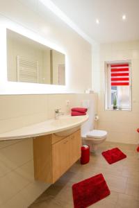 a bathroom with a sink and a toilet and a mirror at Ferienhaus 'am Berg' in Fehrenbach +14 photos