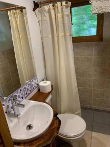 a bathroom with a sink and a toilet at Cabaña entre Boldos in Villarrica