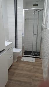a bathroom with a shower with a toilet and a sink at nuevo refugio en los bajos de Moncloa! in Madrid