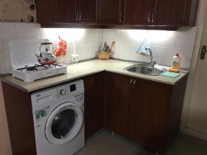 a kitchen with a washing machine and a sink at Lada Guest House in Tbilisi City