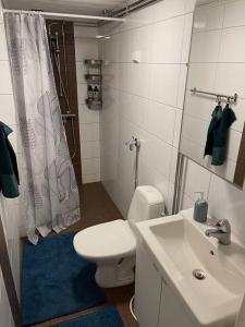 a bathroom with a white toilet and a sink at Satavuotias helmi Mäntässä in Mänttä