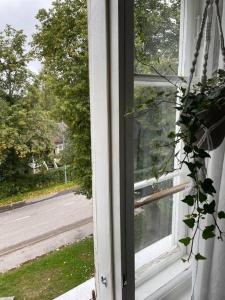 an open window with a view of a street at Satavuotias helmi Mäntässä in Mänttä