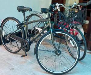 two bikes are parked next to each other at Langama Thena - ළඟම තැන in Anuradhapura +16 photos