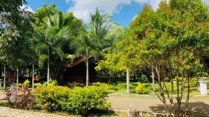 a park with palm trees and bushes on a sunny day at Hotel Tree Garden Wilpaththu Nochchiyagma Anuradhapura in Nochchiyagama