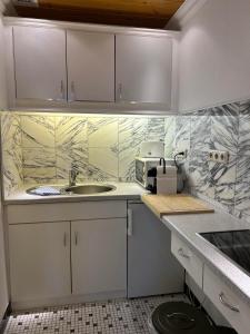 a kitchen with a sink and a counter top at Appartementhaus Herrenhäuser Gärten in Hannover