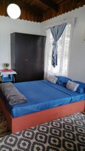 1 dormitorio con cama azul y ventana en Casa Luka, en Turrialba