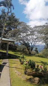 a garden with some plants and a sidewalk at Casa Luka in Turrialba