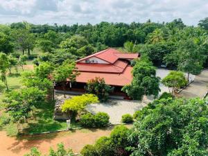 una vista aérea de una casa en un bosque en Hotel Tree Garden Wilpaththu Nochchiyagma Anuradhapura, en Nochchiyagama