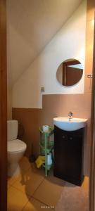 a bathroom with a sink and a toilet and a mirror at Pokoje na Widokowej 33 in Korbielów