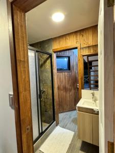 baño con lavabo y puerta de cristal en Inspiramide Pucon en Pucón