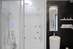 uma casa de banho com um chuveiro, um lavatório e um espelho. em Chablis Spa 1er Cru Balnéo em Chablis
