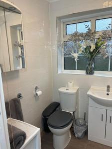 a bathroom with a toilet and a sink and a window at Clarke's AirBnB in Worthing
