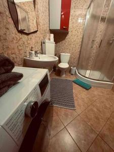 W łazience znajduje się prysznic, umywalka i toaleta. w obiekcie Domek Przy Lesie SPA w Szczecinku