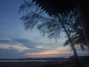 a tree sitting next to a body of water at The P Lakehouse in Tanjong Sepat