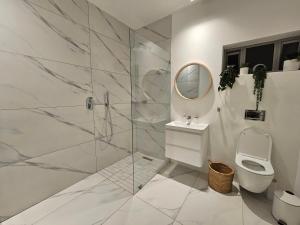 een badkamer met een douche, een toilet en een spiegel bij Point Villa in Jeffreys Bay