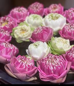 Anou Home - Guesthouse في سيام ريب: مجموعة من الزهور الزهرية والبيضاء على الطاولة