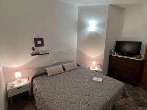 een kleine slaapkamer met een bed en een televisie bij Casa vacanze nel verde del Sinis in San Vero Milis