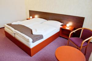 Postel nebo postele na pokoji v ubytování Hotel Vír