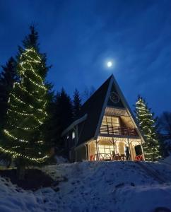 a christmas tree in front of a log cabin at Апартементи для 4 людей з окремим входом та терасою - весь перший поверх нового котеджу Freeman Bukovel - поряд витяг R1 in Bukovel