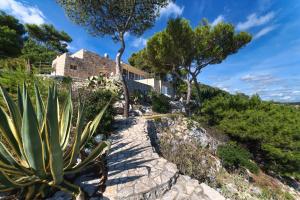a house on a hill with a cactus at La Casa del Fico in Leuca
