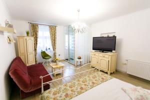 a living room with a tv and a couch at Gong Apartments in Sibiu
