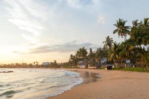 a beach with palm trees and the ocean at Samuu Homestay Mirissa in Mirissa