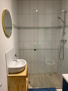 ein Bad mit einer Dusche, einem Waschbecken und einem Spiegel in der Unterkunft La petite Escapade in Calais