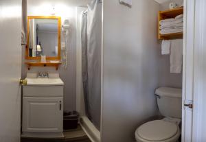 een badkamer met een toilet, een wastafel en een spiegel bij Belle Isle Motel in Bar Harbor