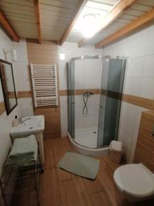 La salle de bains est pourvue d'une douche, d'un lavabo et de toilettes. dans l'établissement Toskania Kociewska, à Nowe