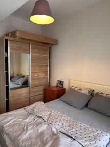 1 dormitorio con cama y espejo grande en Bahcesehir Rent House, en Bahcesehir