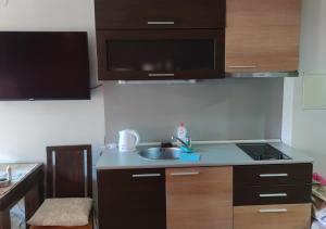 een keuken met een wastafel en een aanrecht bij Igzila apartment in Banya