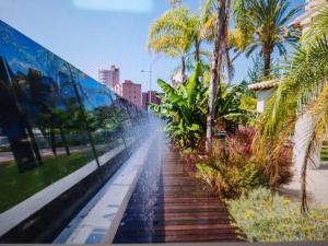 贝尼多姆Villa JAP的棕榈树楼梯和建筑