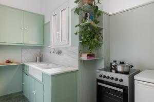 uma cozinha com armários verdes, um lavatório e um fogão em Lovely Apartment in Exarcheia em Atenas