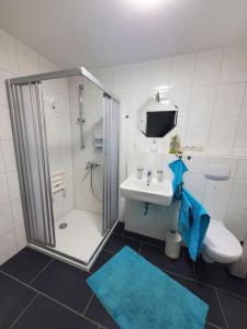 a bathroom with a shower and a toilet and a sink at Terrassenwohnung Nordlicht in Grimma
