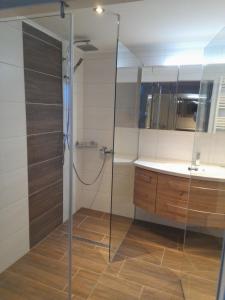 La salle de bains est pourvue d'une douche et d'un lavabo. dans l'établissement Gästehaus Ferner, à Sankt Michael im Lungau