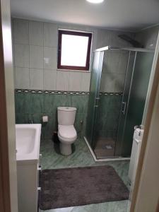 a bathroom with a toilet and a shower and a sink at Albanian Gem in Kuçovë in Kuçovë