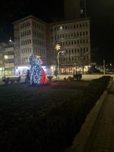 Fotografija u galeriji objekta Central Apartments u Zaječaru