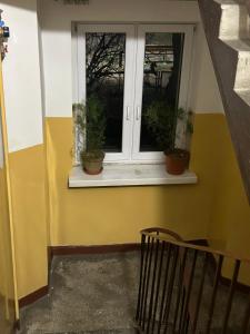 ein Fenster mit Topfpflanzen an einer gelben Wand in der Unterkunft Nad rzeką XL Luxury in Piła