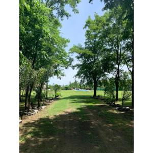 a path in a park with trees and grass at Caggdom in Salvador María +10 photos