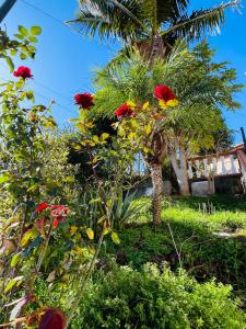 a garden with red and yellow flowers and a palm tree at Cozy House in Funchal