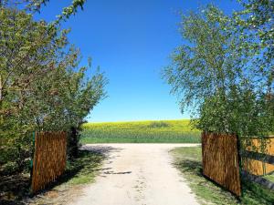 a dirt road with two trees and a fence at Toskania Kociewska in Nowe