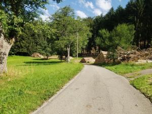 uma estrada de terra num parque com árvores e relva em Ferienhaus mit Alpenpanorama em Deggenhausertal