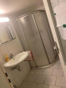 un baño con ducha y lavabo en NT Dreamhouse, en Düren - Eifel 23 fotos más