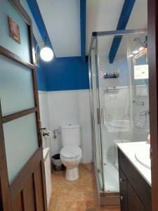 a bathroom with blue walls and a toilet and a shower at Hostal los Aromas in Villena