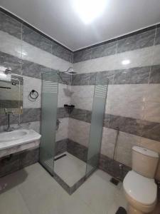 a bathroom with a shower and a toilet and a sink at Dream Garden Luxor in Luxor